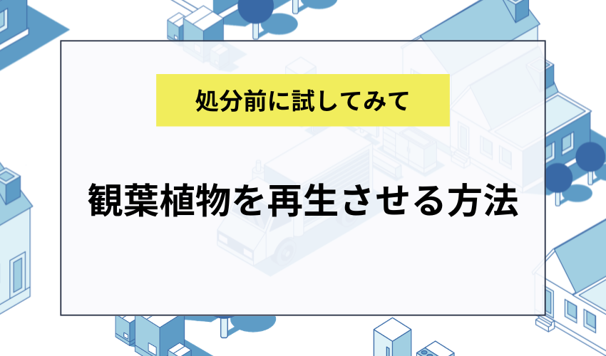 観葉植物を再生させる方法