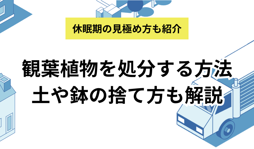 観葉植物を処分する方法は？土や鉢の捨て方や枯れた場合の対処法も解説